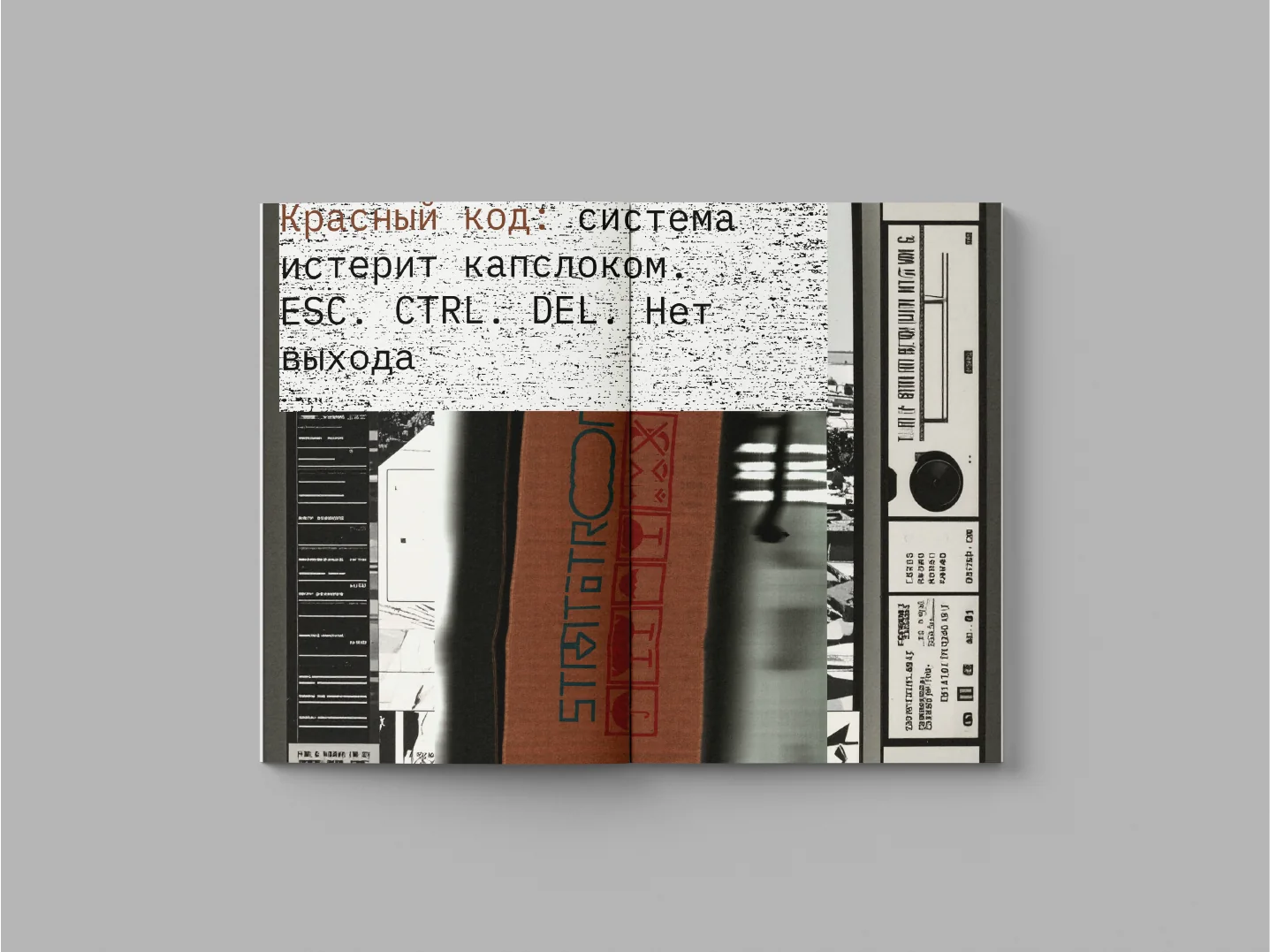 Dada Tomsk: Book, изображение 8
