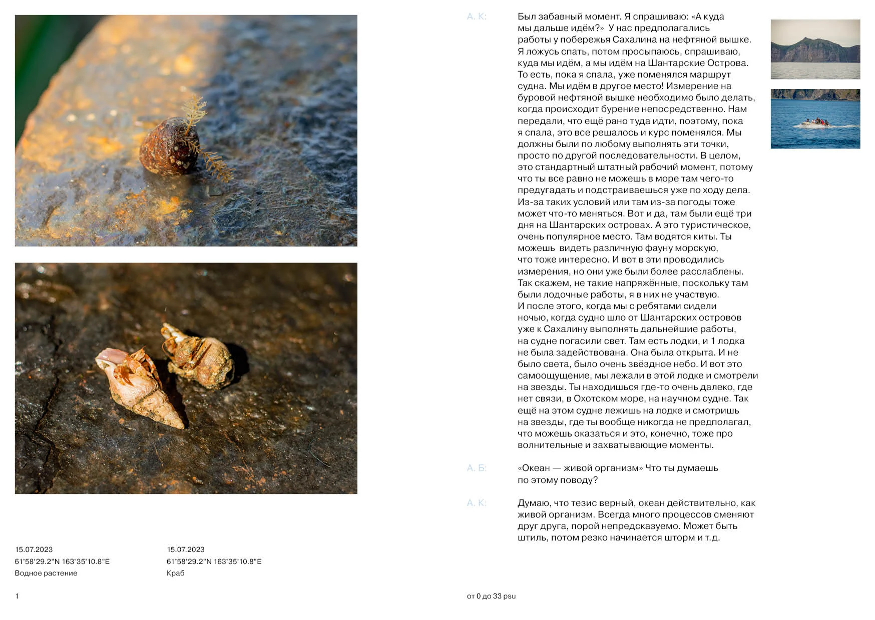 Разворот зина 11